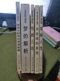 精神分析经典译丛5册
