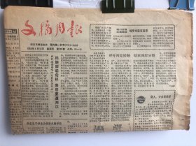 文摘周报 1988/4