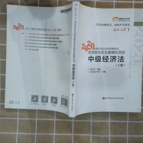 轻松过关1 2020年会计专业技术资格考试应试指导及全真模拟测试 中级经济法