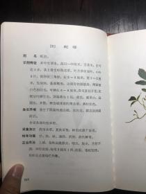 云南中草药选