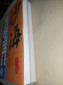 沙海全两卷