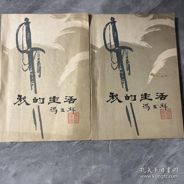 我的抗日生活——冯玉祥自传第2卷