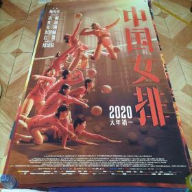 特大电影海报   中国女排