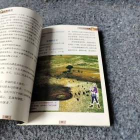 大漠情深：动物的家庭普通图书/童书9787500761648