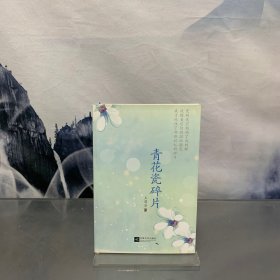 青花瓷碎片