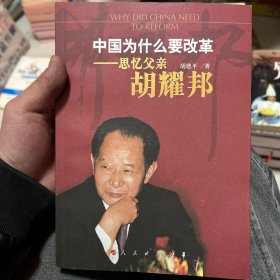 中国为什么要改革：思忆父亲胡耀邦