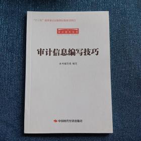 审计信息编写技巧/审计技巧丛书