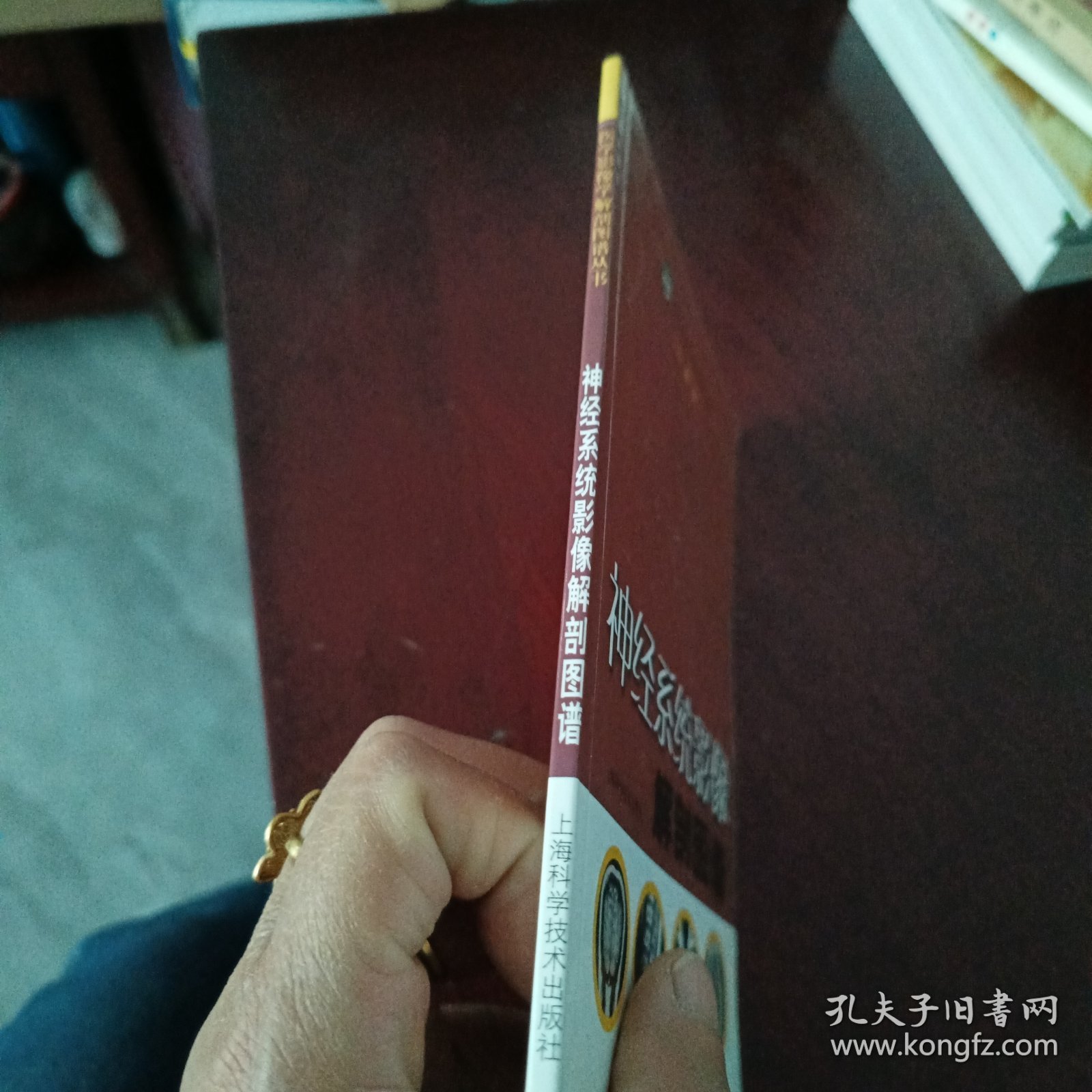 神经系统影像解剖图谱