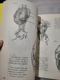 伯里曼人体结构绘画教学341页