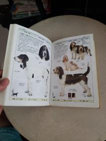 名犬：全世界300多种名犬的彩色图鉴