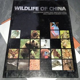 Wildlife of China英文版《中国野生动物》16开精装、彩色照片