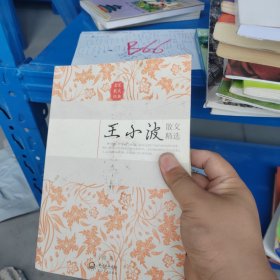 王小波散文精选（名家散文经典）