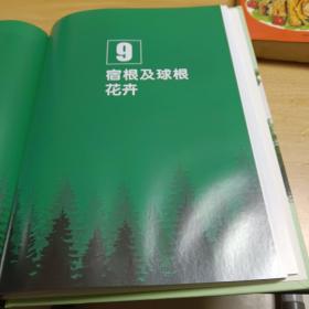 襄樊市园林植物实用手册