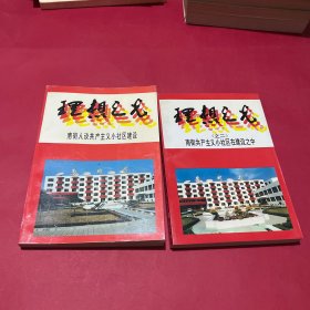 理想之光：南街人谈共产主义小社区建设+南街共产主义小社区在建设之中（2本合售）附勘误表