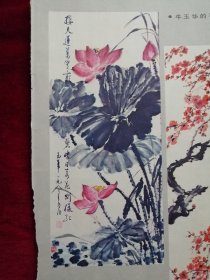 名家画荷24页（张稼言，恽南田，易至群，牛玉华，刘继红，蔡勇，萧朗，苏檀丰，张大千，崔子范，唐云，齐白石，张公者，崔如琢，田钧，姜怡翔，王来文，老圃）
