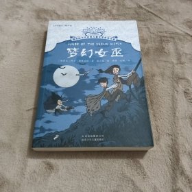 梦幻女巫/摆渡船当代世界儿童文学金奖书系