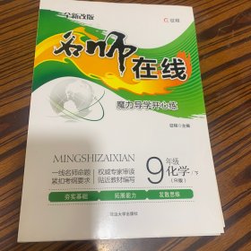 名师在线九年级化学下册