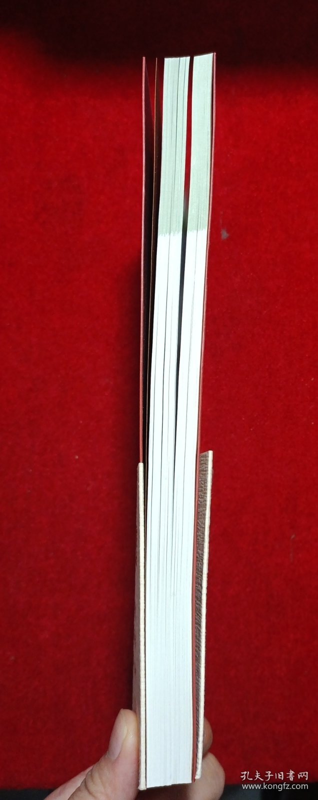 北京灯下蛾类图谱