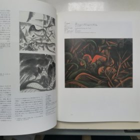 【日文原版书】絵画の大地を揺り動かした画家 萬鐵五郎展（震撼着大地的画家 《万铁五郎展》）