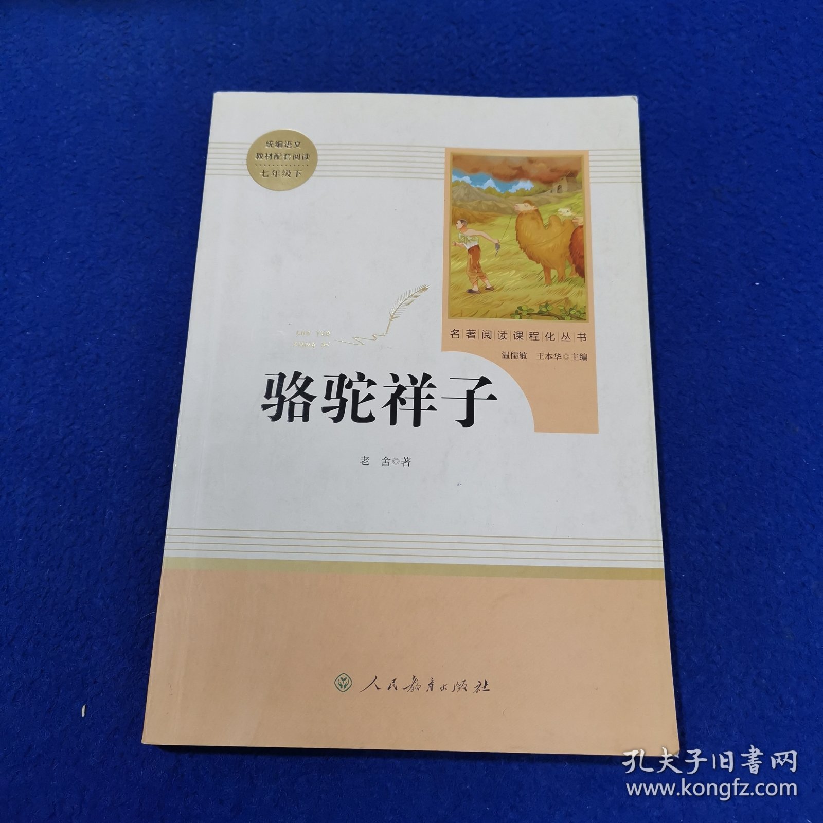 中小学新版教材（部编版）配套课外阅读 名著阅读课程化丛书 骆驼祥子