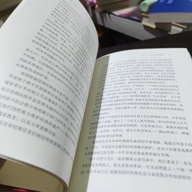 邓小平时代（精装）