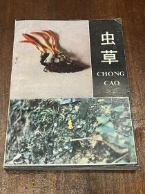 蟲(chóng)草