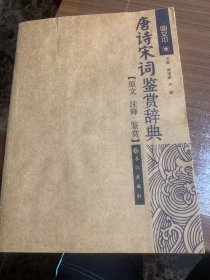 唐诗宋词鉴赏辞典（原文注释鉴赏）w13