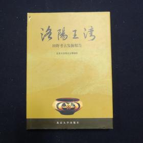 洛阳王湾 田野考古发掘报告 全一册（考古）