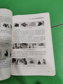 新版课程标准解析与教学指导 美术