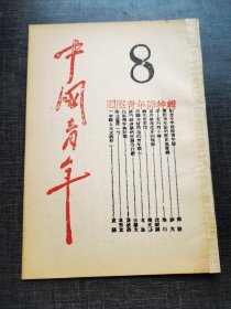 中国青年第8号国际青年节特辑博物馆收藏红，色文献