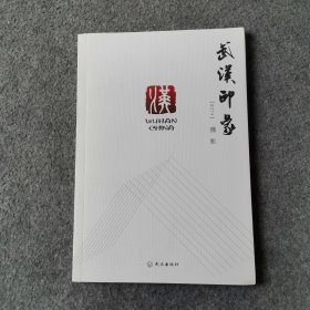 武汉印象. 2014. 摄影