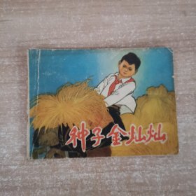 连环画：种子金灿灿1975年1版1印