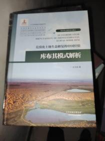 荒漠化土地生态修复的中国经验——库布其模式解析