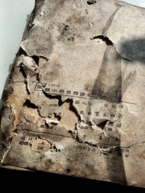 高级小学自然课本,第四册,外皮有折痕有污垢有破损,1951年济南,看图免争义