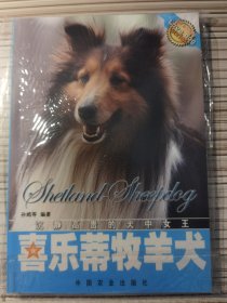 喜乐蒂牧羊犬