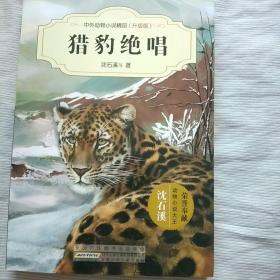 中外动物小说精品（升级版）：猎豹绝唱