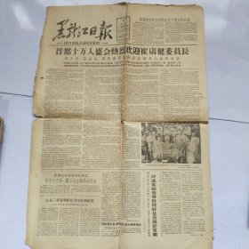 原版黑龙江日报1963年6月9日