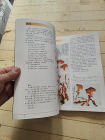 名家国画技法·蔬果花卉