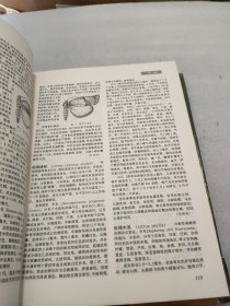 中国农业百科全书：昆虫卷