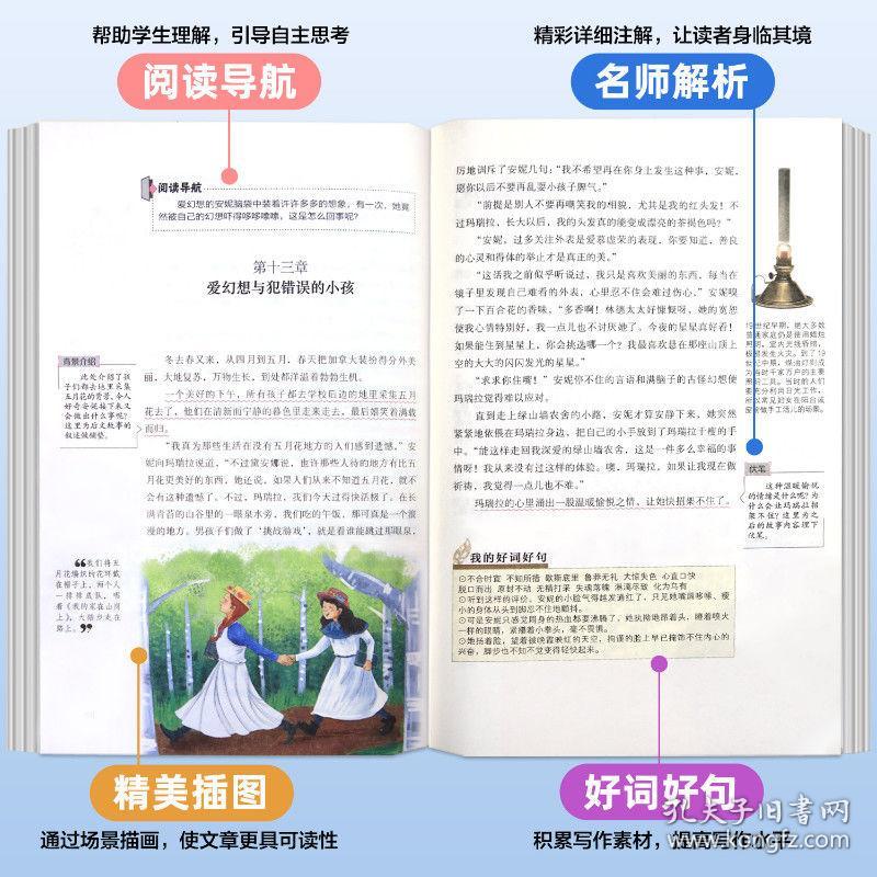 绿山墙的安妮（世界文学名著拓展阅读 : 名师导读版）