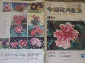 《中国花卉盆景》1999 9