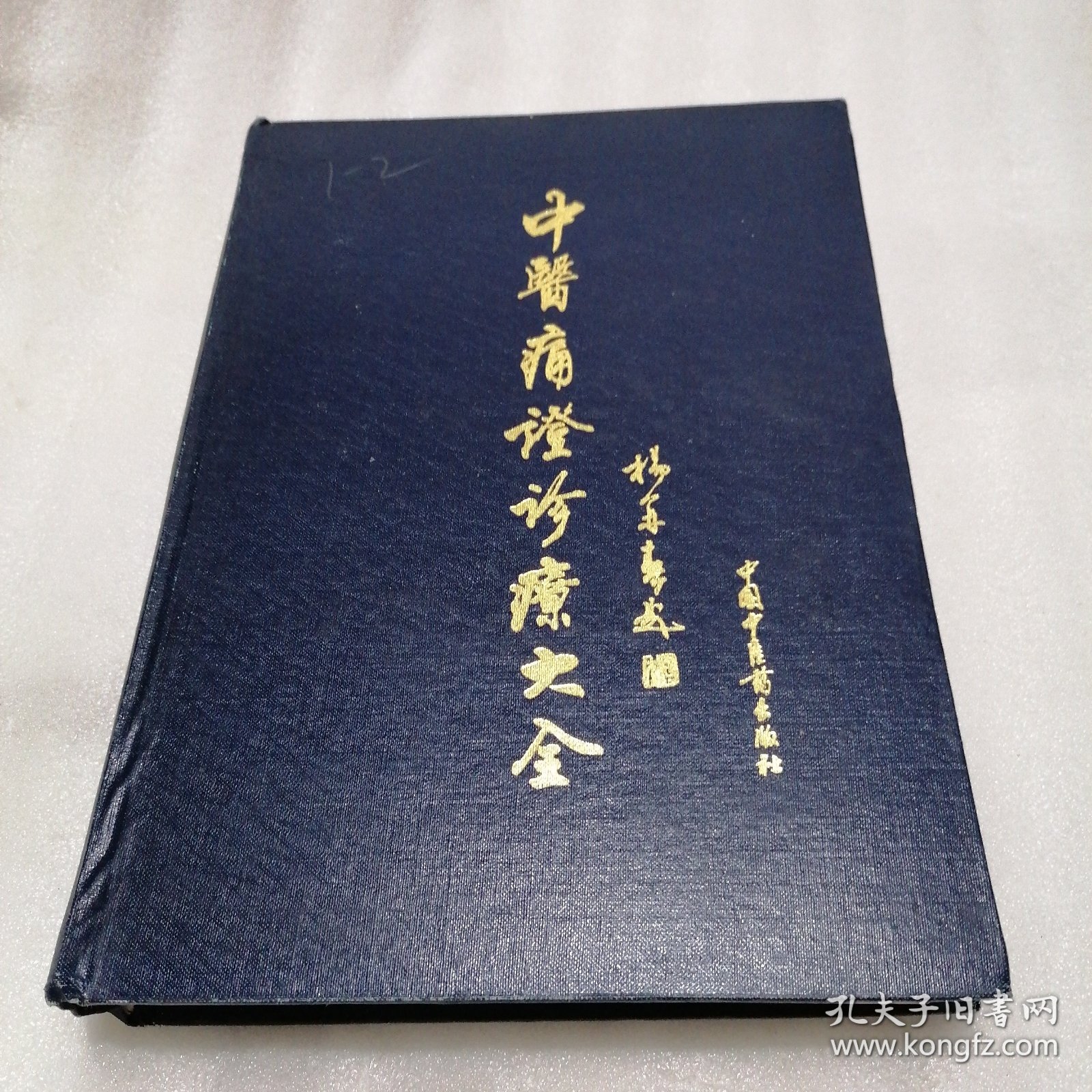 中医痛证诊疗大全