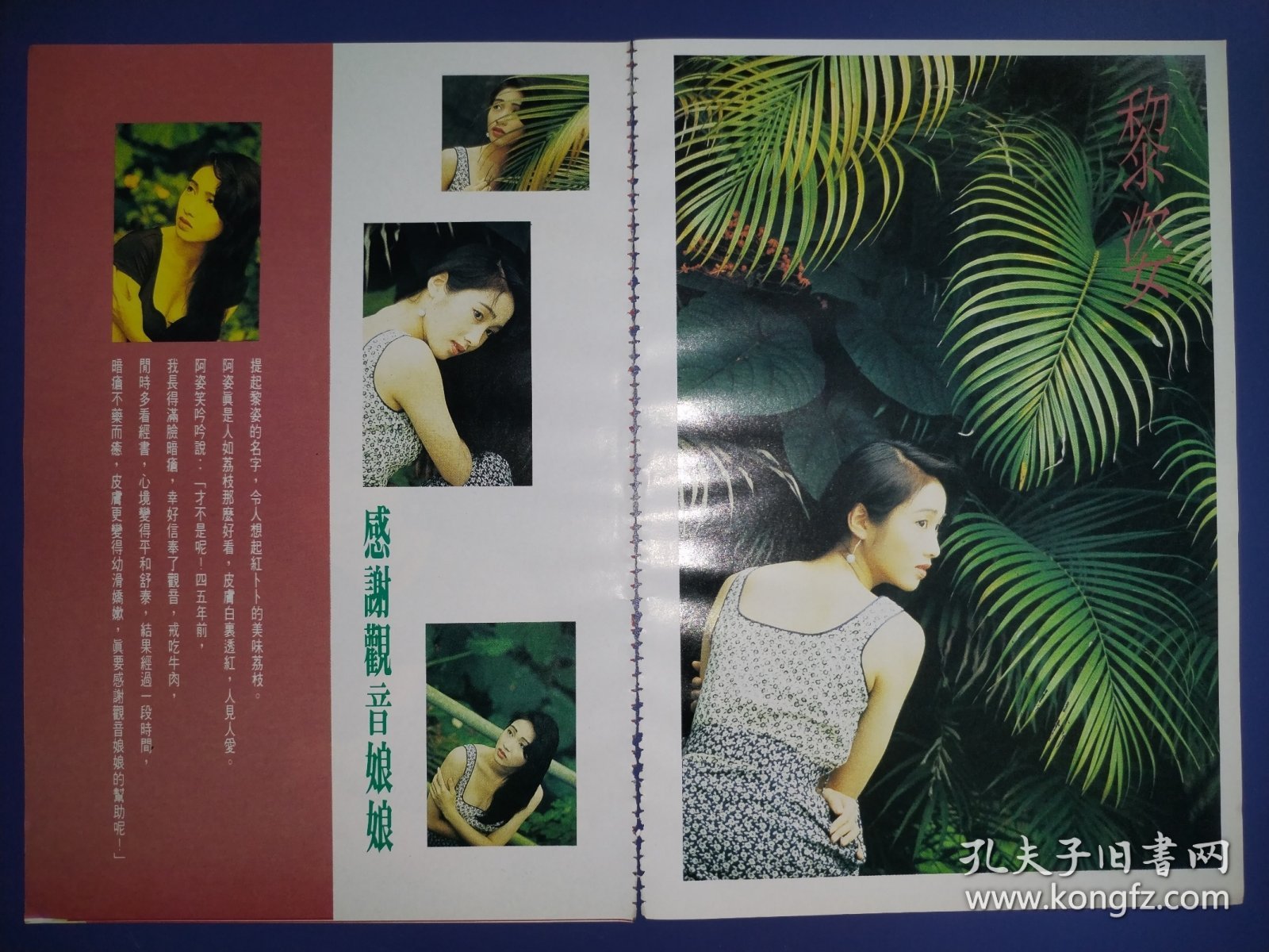 黎姿32开彩页（3页4面）
