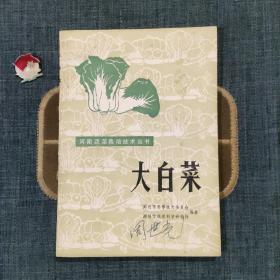 大白菜