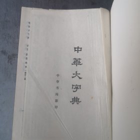 中华大字典（缩印本）