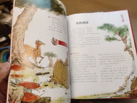 了不起的中华文明第一，二辑共19册合售