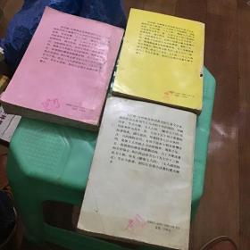 秘密七人团（上中下）：Secret Seven