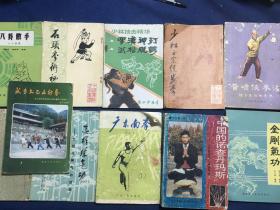 罗汉神打、黄啸侠拳法、广东南拳、少林正宗练步拳、武当太乙五行拳、石头拳术秘诀、八卦散手11本合售