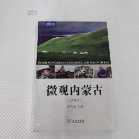 微观内蒙古（汉英版）/微观中国