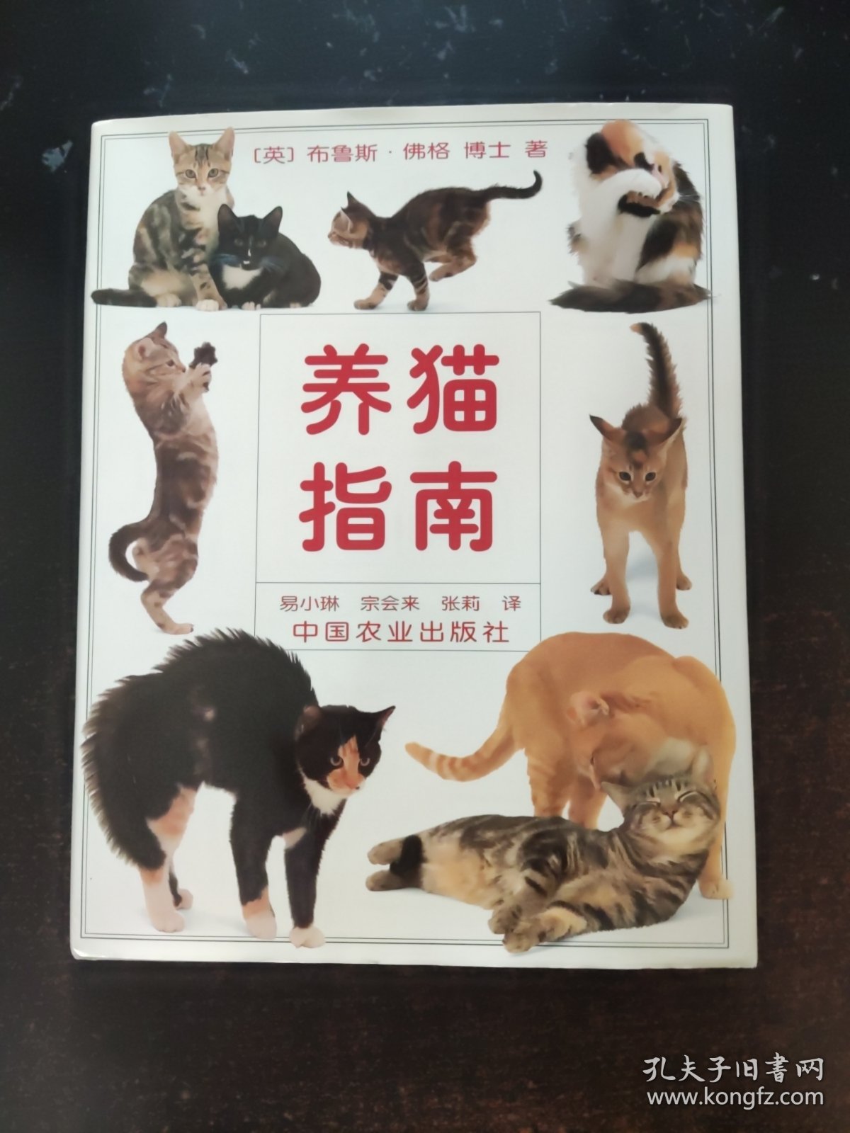 养猫指南